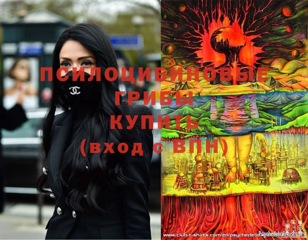 стафф Козловка
