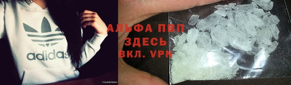 стафф Козловка