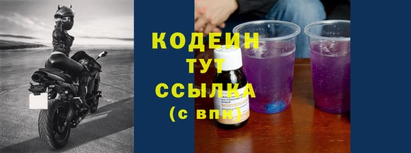 дмт Кодинск