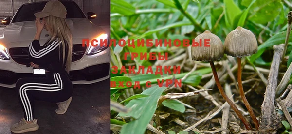 дмт Кодинск