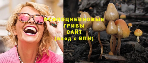 дживик Костерёво
