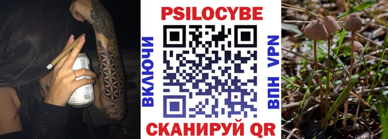 Псилоцибиновые грибы мицелий  Купить закладки  Голицыно 